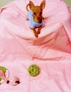 Are baby girl minzy  Listing Image