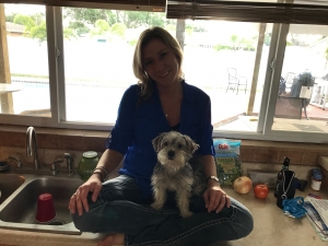 Male Black and Brown Morkie (Maltese Yorkie) AKC registered  Listing Image