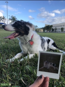 Cloud is looking for a partner  Listing Image