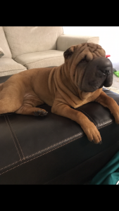 Mia’s looking for a man Listing Image