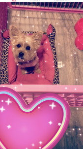 Pretty Zoey Listing Image