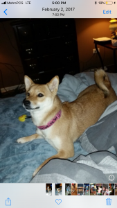Kita  Listing Image