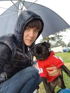 Female Pug looking for healthy male pug Listing Image