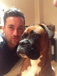 bobtail boxer for sale