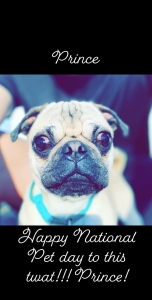 Looking for amazing girl for my boy! Listing Image