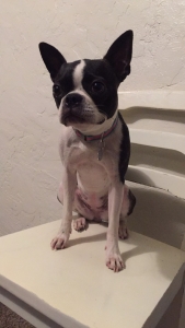 Looking For Male Listing Image