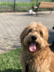 Most charming stud looking for a girlfriend Listing Image