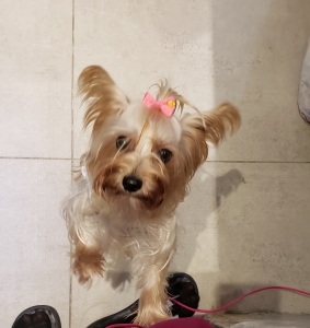 Looking for a boyfriend Listing Image