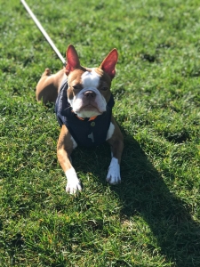 Looking for girlfriend Listing Image