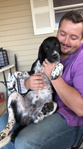 Black blue ticked Registered Full bred Beagle  Listing Image
