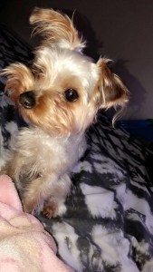 Penny is looking for a boyfriend  Listing Image