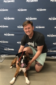Purebred Boxer Listing Image