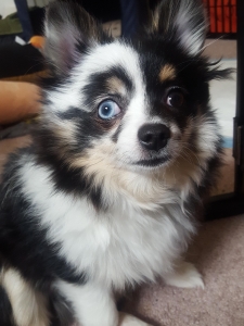 Looking for a girlfriend  Listing Image