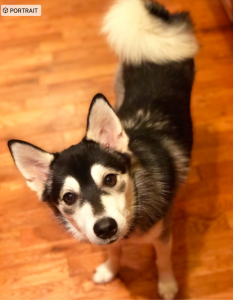 Liamhuskyworth Listing Image
