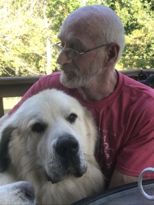 Gentle Giant Listing Image