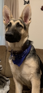 Looking for girlfriend  Listing Image