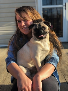 Fawn pug  Listing Image