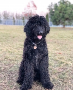 Handsome boy looking for Female Listing Image