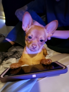 Humble teenie mate Listing Image