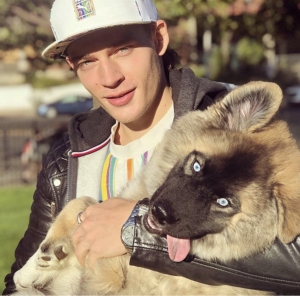 Rare color Siberian Husky Listing Image