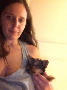 Female Teacup Yorkie Listing Image