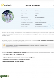 French Bulldog Stud Listing Image
