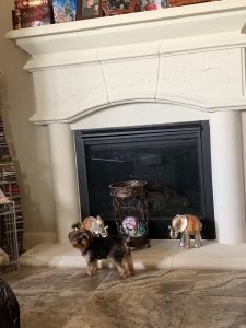 Tiny's friend Listing Image