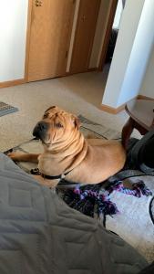 Looking Girl Listing Image