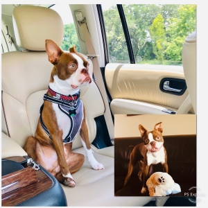 Looking for a Girlfriend in South Florida  Listing Image
