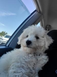 Looking for mate Listing Image