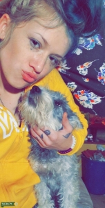 Salt n Pepper Female miniature schnauzer Listing Image