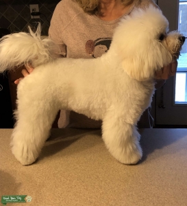Looking for male Listing Image