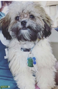 Looking for a girlfriend Listing Image