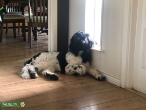 Looking for a friend Listing Image