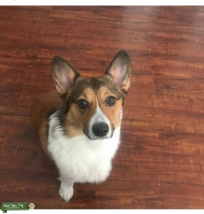 Looking for mate Listing Image