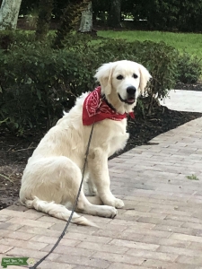 Brody is a stud  Listing Image