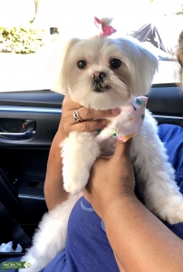 Mia is looking for a boyfriend  Listing Image