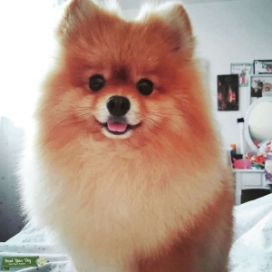 Looking for a girlfriend Listing Image