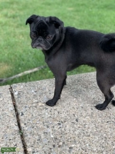 Looking for male  Listing Image