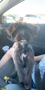 Looking for a partner Listing Image
