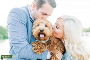 Mini Goldendoodle Listing Image