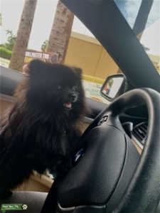 I’m looking for a girlfriend!  Listing Image