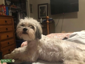 Adorable  Listing Image