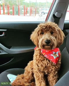 Handsome boy with a good attitude  Listing Image