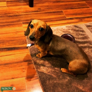 Cherry Bomb wants to be a Mom Listing Image