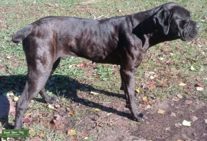 CC female looking for thick bf! Listing Image
