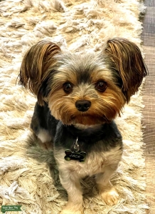 Hello!  My name is Jack and ACA Certified! Listing Image