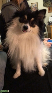 Leo needs a gf Listing Image