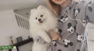 Pure Pomeranian  Listing Image