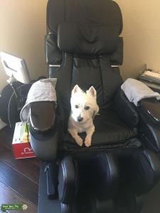Looking for an wife to provide me an child Listing Image